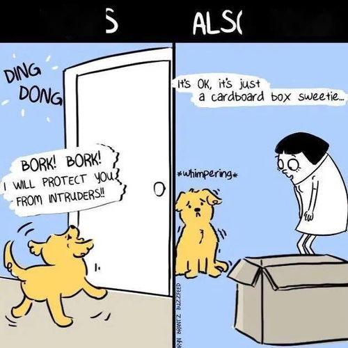 小度坏人的怎么组词