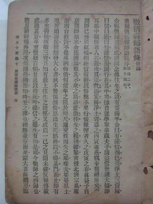 你佛话佛怎么组词