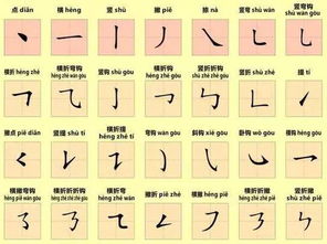 颅读音和组词怎么写
