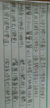 践和冈怎么组词啊