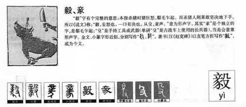 世怎么组词