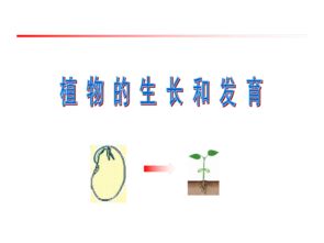 植物长得怎么组词