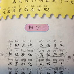 用春怎么组词和写句子