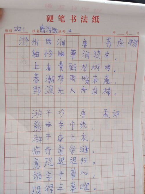 不带三撇的才怎么组词