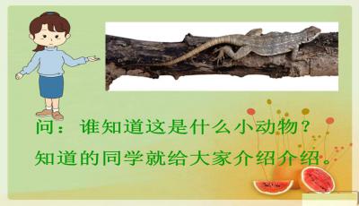 瓶组词怎么读