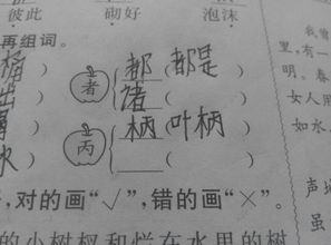 木字旁加个召怎么组词