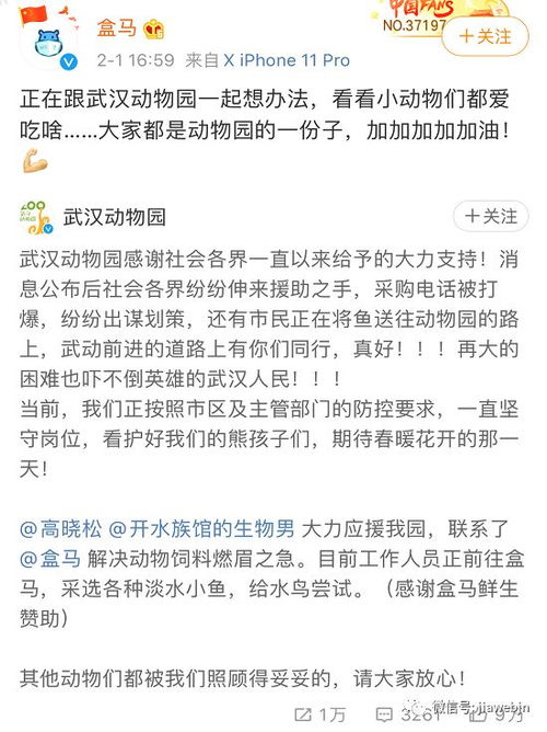 小度爱怎么组词