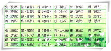 说组词怎么