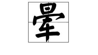 晕能怎么组词
