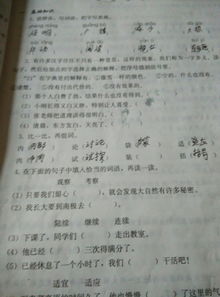 怎么组词袋