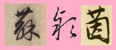 苏字怎么写呀怎么组词