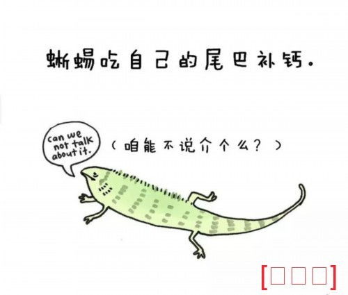 小度动物动物怎么组词 小度动物动物怎么组词