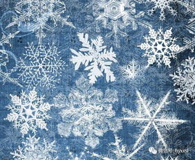 雪怎么组词