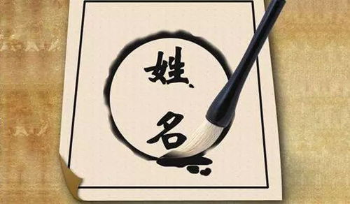 顺利的后面怎么组词