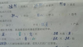 子可以怎么组词