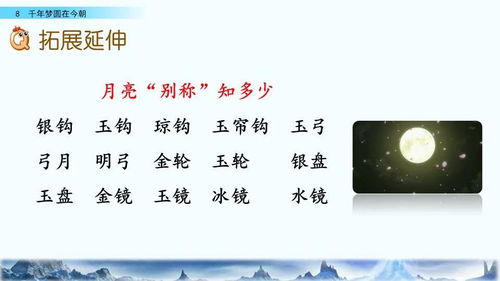 追寻的荀怎么组词