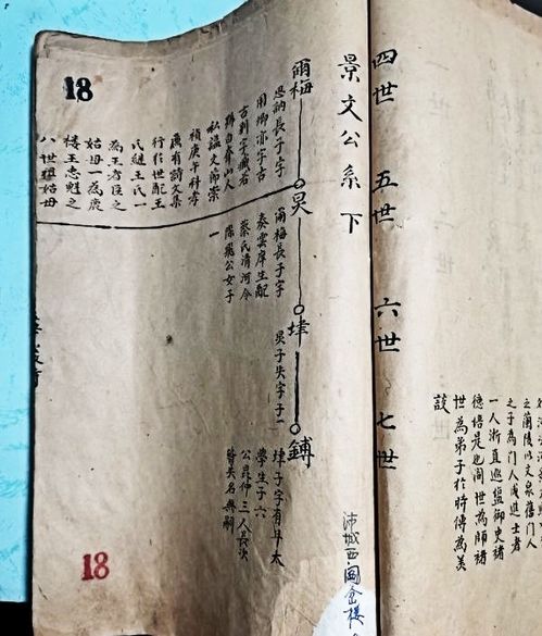 梅荒怎么组词