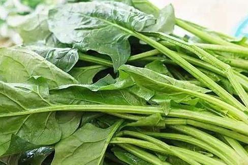 请问菠菜的菠怎么组词