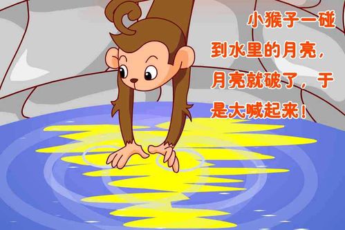 猕猴怎么读组词