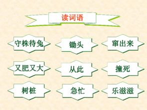 守株待兔的诸怎么组词