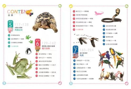 团怎么读拼音和组词
