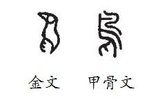 鸟怎么组词