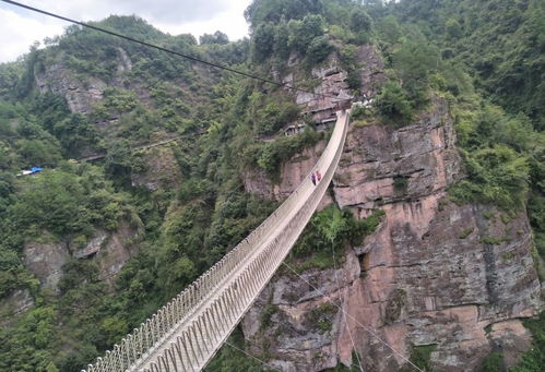 山峰的峰峰怎么组词