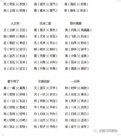 动物学学怎么组词