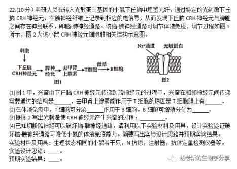 陈凯的陈怎么组词