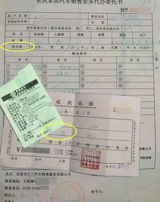 订怎么组词