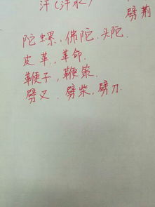 革怎么组词语