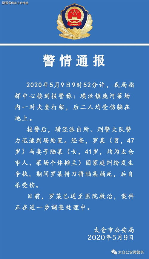 梅妻荷怎么组词