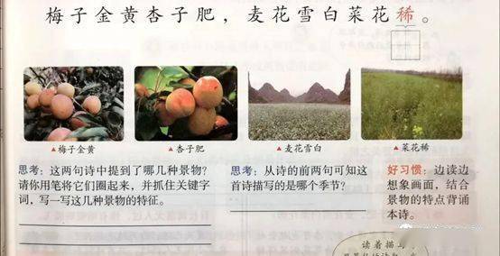 晃啃怎么组词