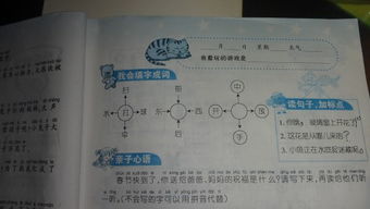 放有怎么组词