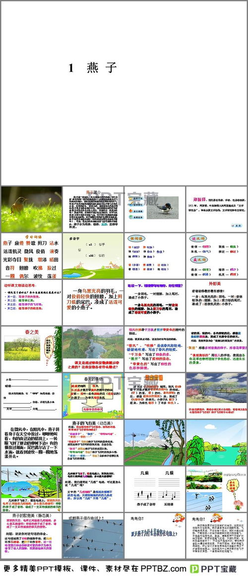 燕子组词语