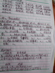 心的心怎么组词