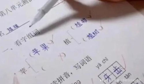 没有跟没怎么组词