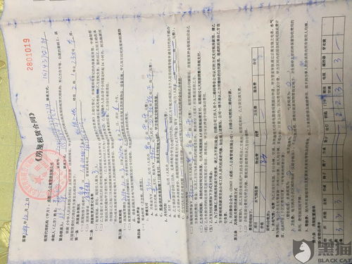 蘑菇的菇怎么组词二字