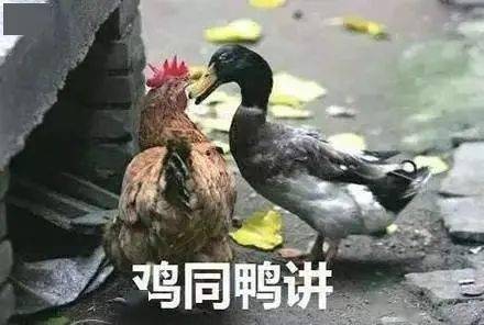 鸡鸭可以怎么组词啊
