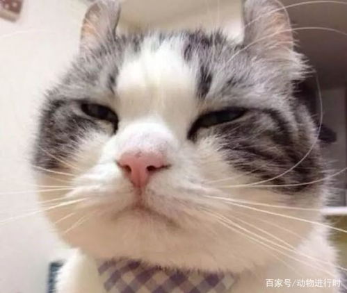 咬人的咬怎么组词