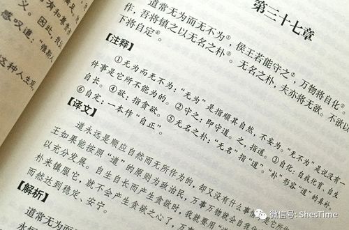 界怎么读组词