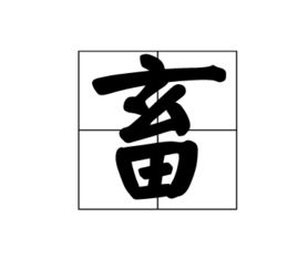 得德怎么组词