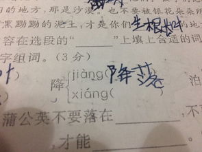 XI_怎么组词