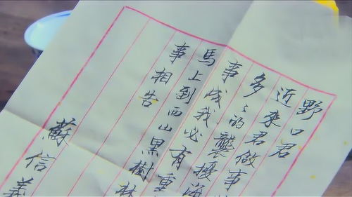 大豆豆怎么组词