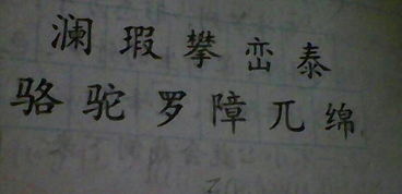 稀怎么组词语