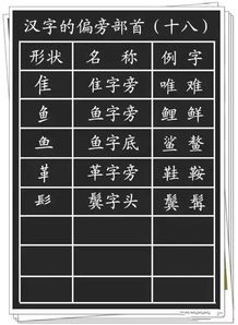 中怎么组词种