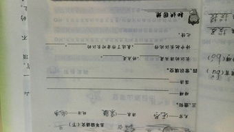 告诉的诉怎么组词和造句