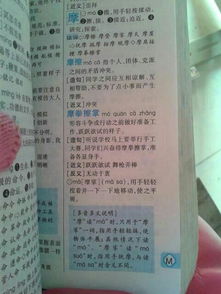 么m门怎么组词