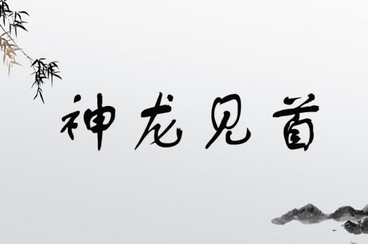 带字龙怎么组词