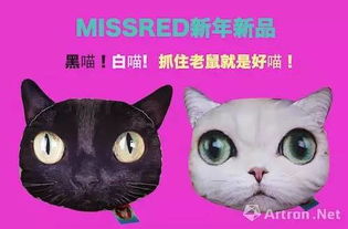 模仿的猫怎么组词